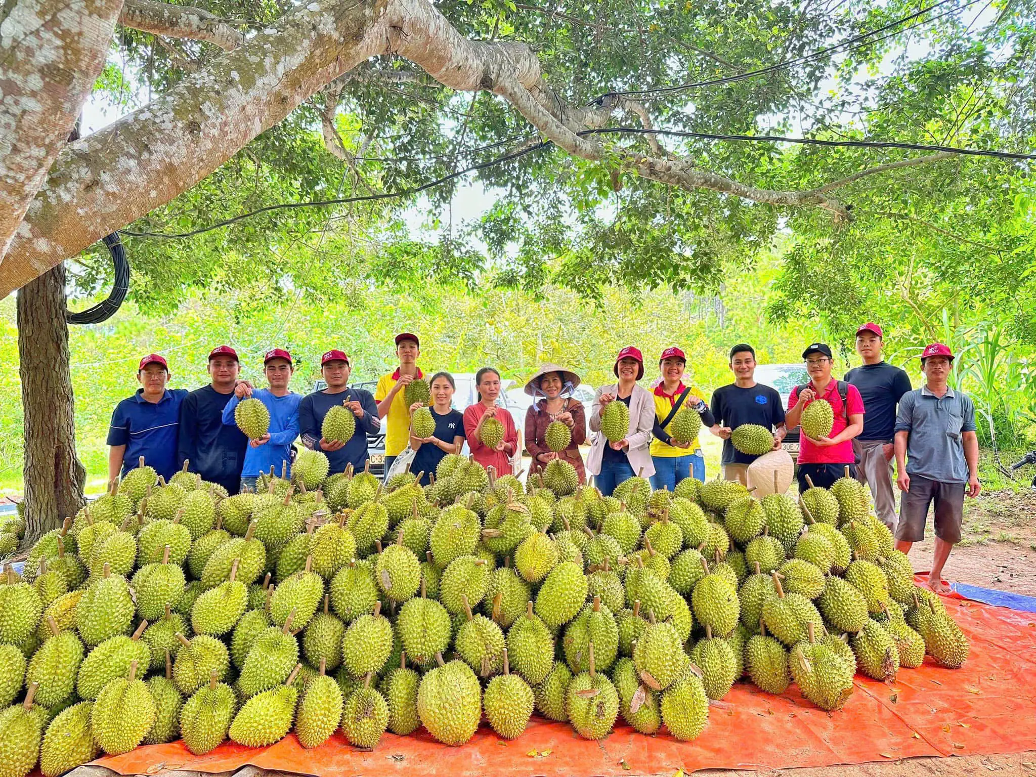 Tuyển dụng vị trí: Thực tập sinh Econations
