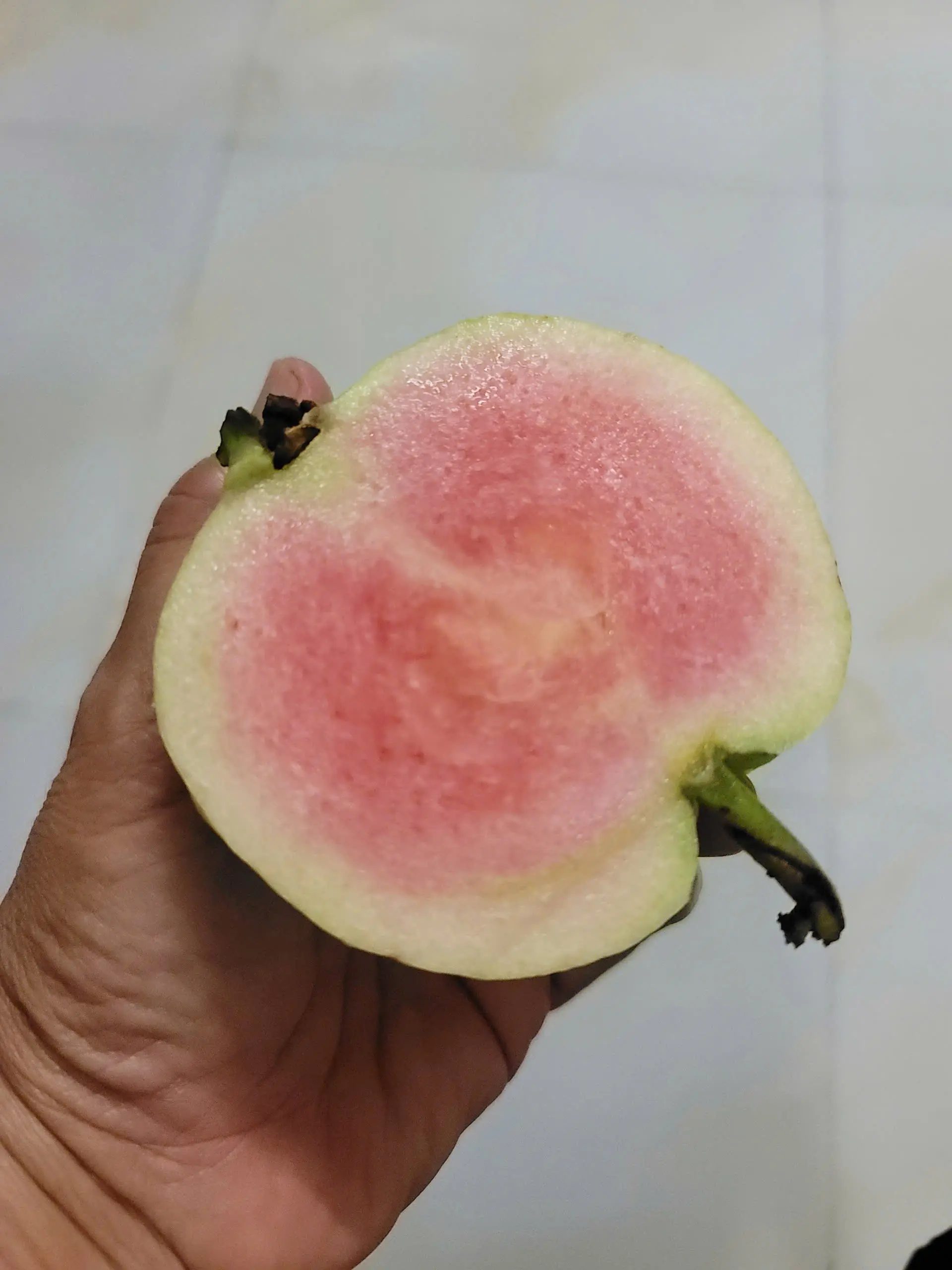 LARATECH
