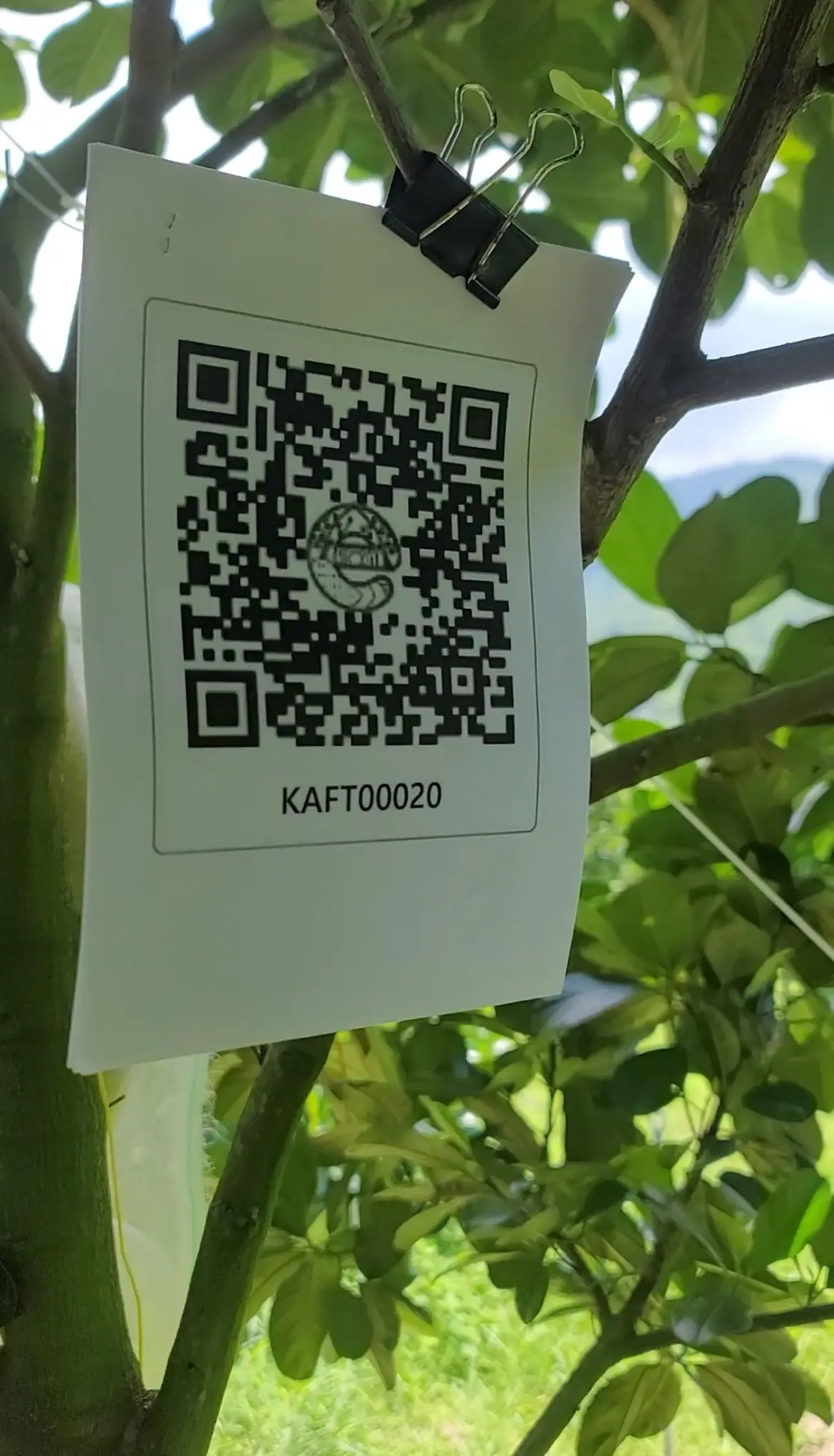 LARATECH