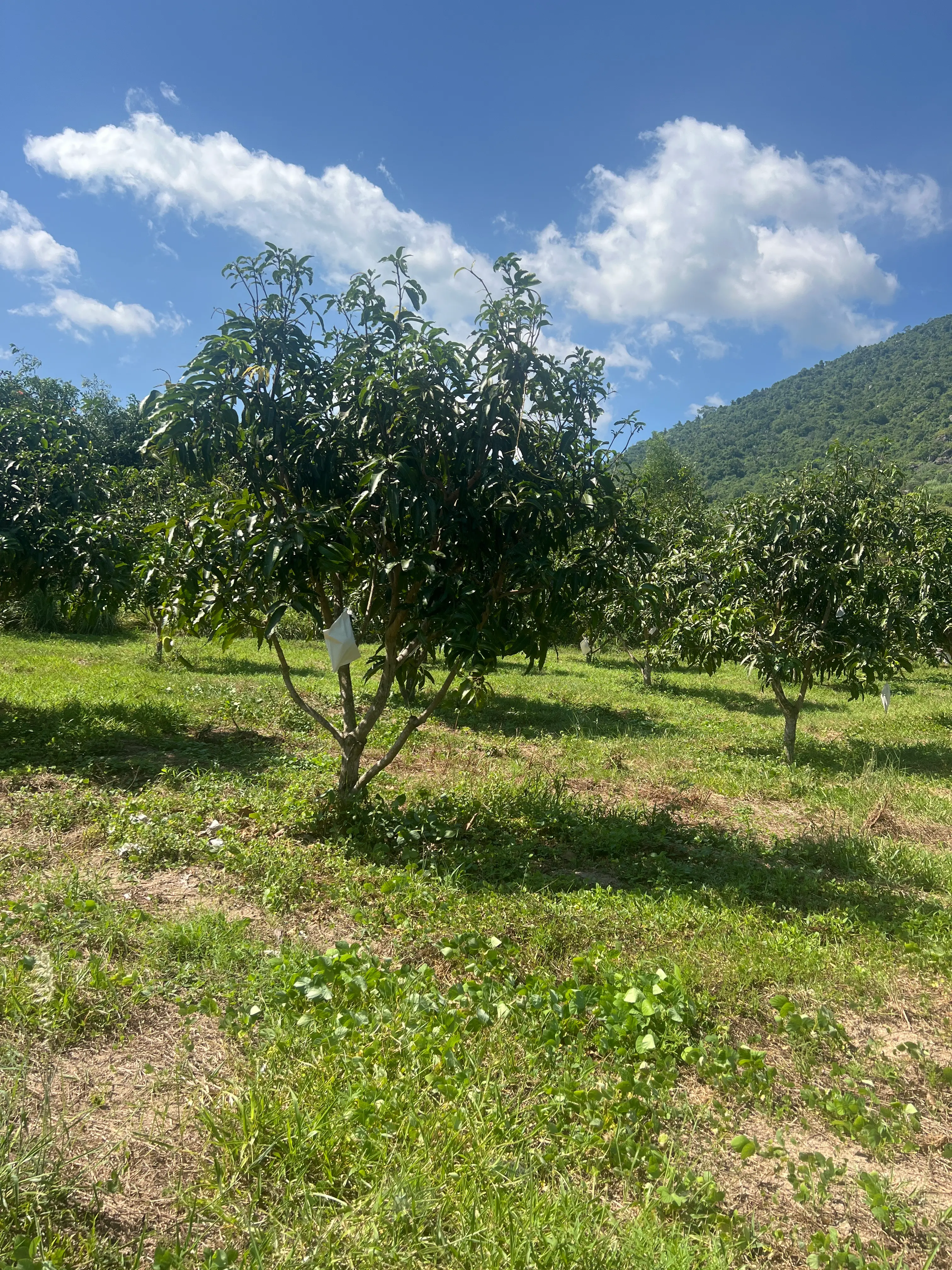 LARATECH