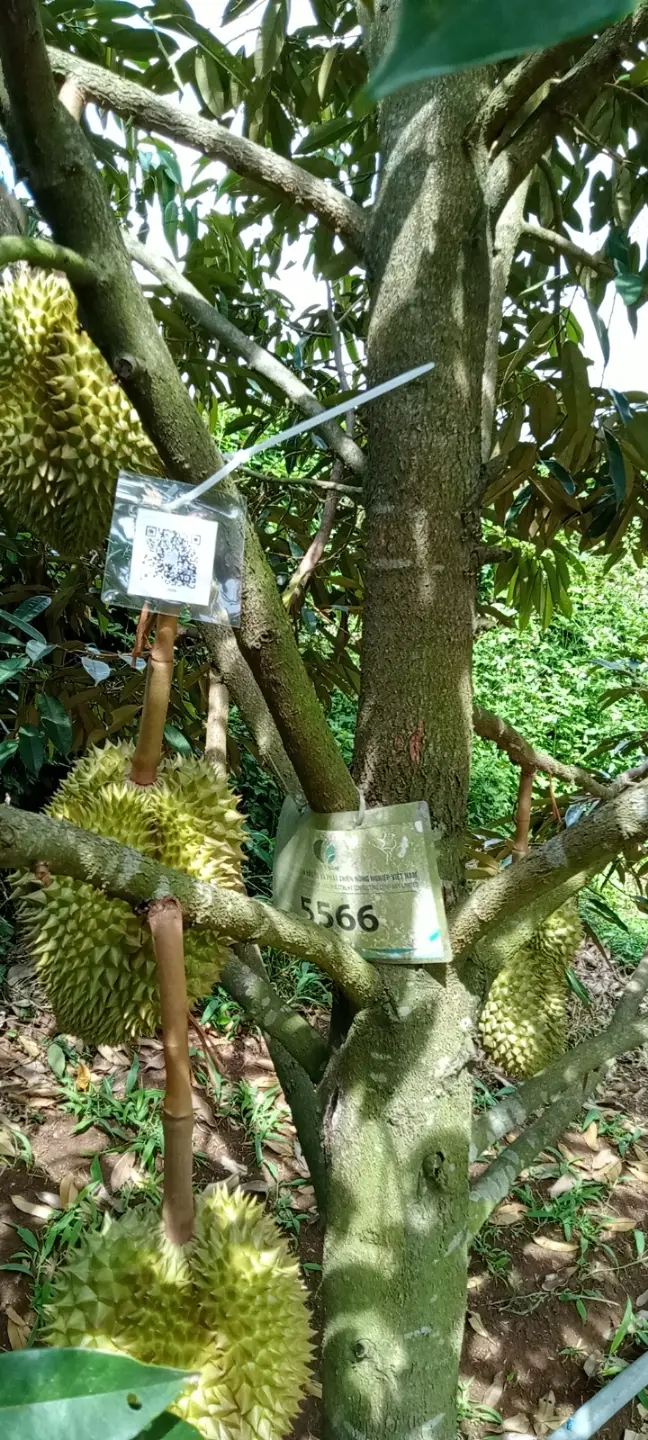 LARATECH