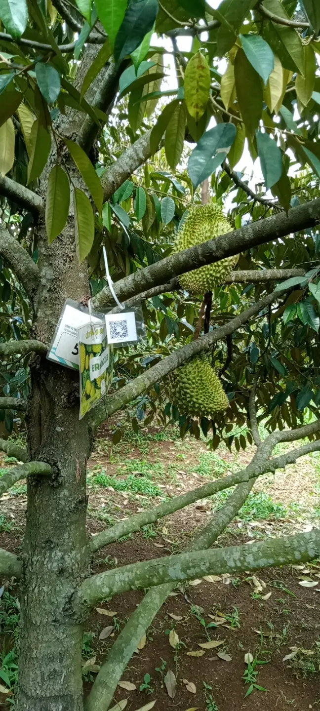 LARATECH