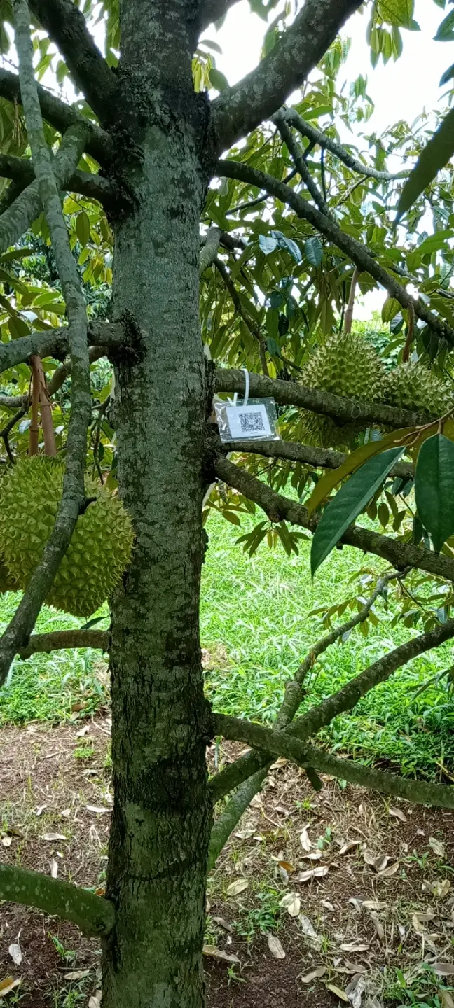 LARATECH