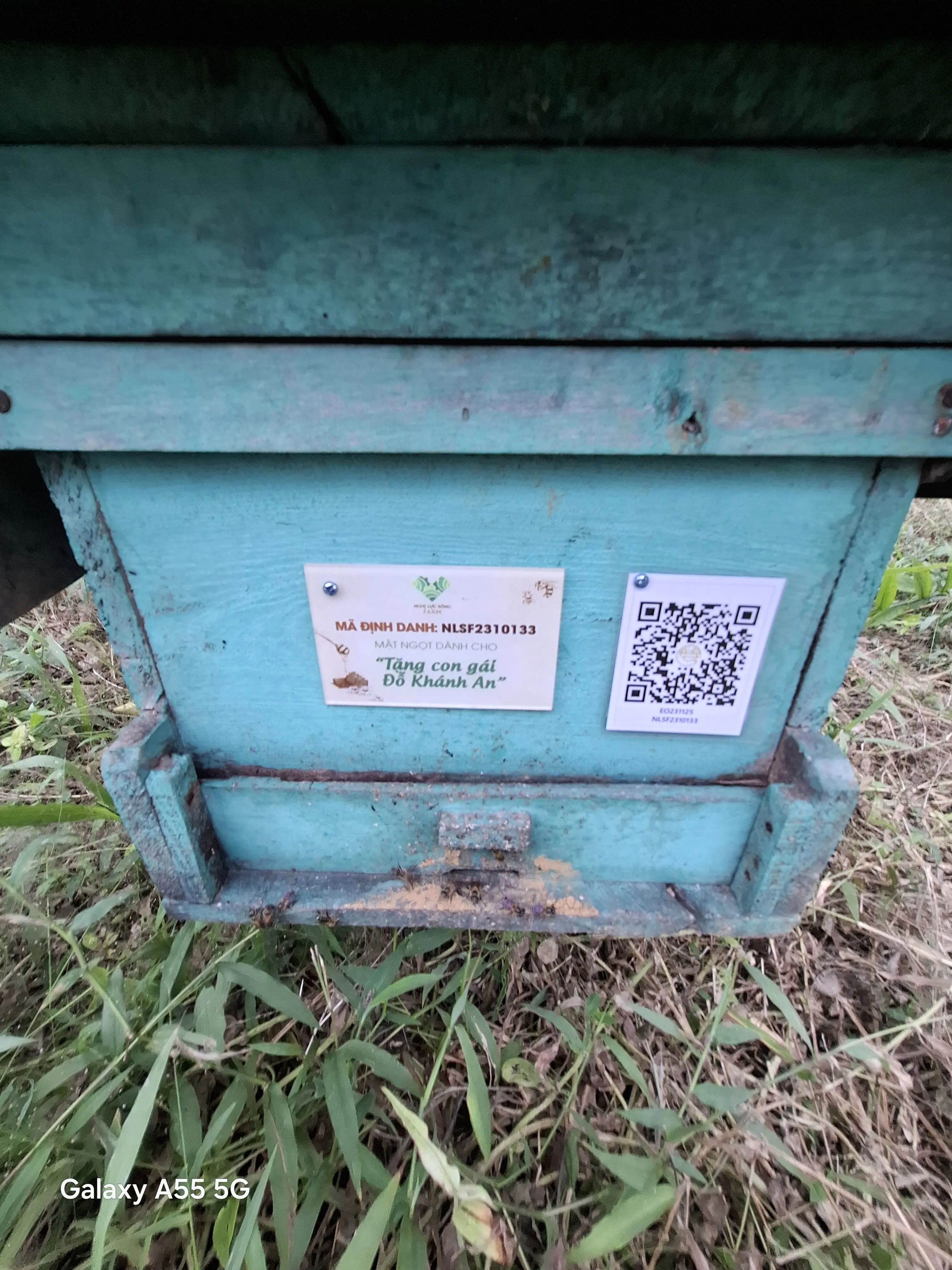 EcoNations