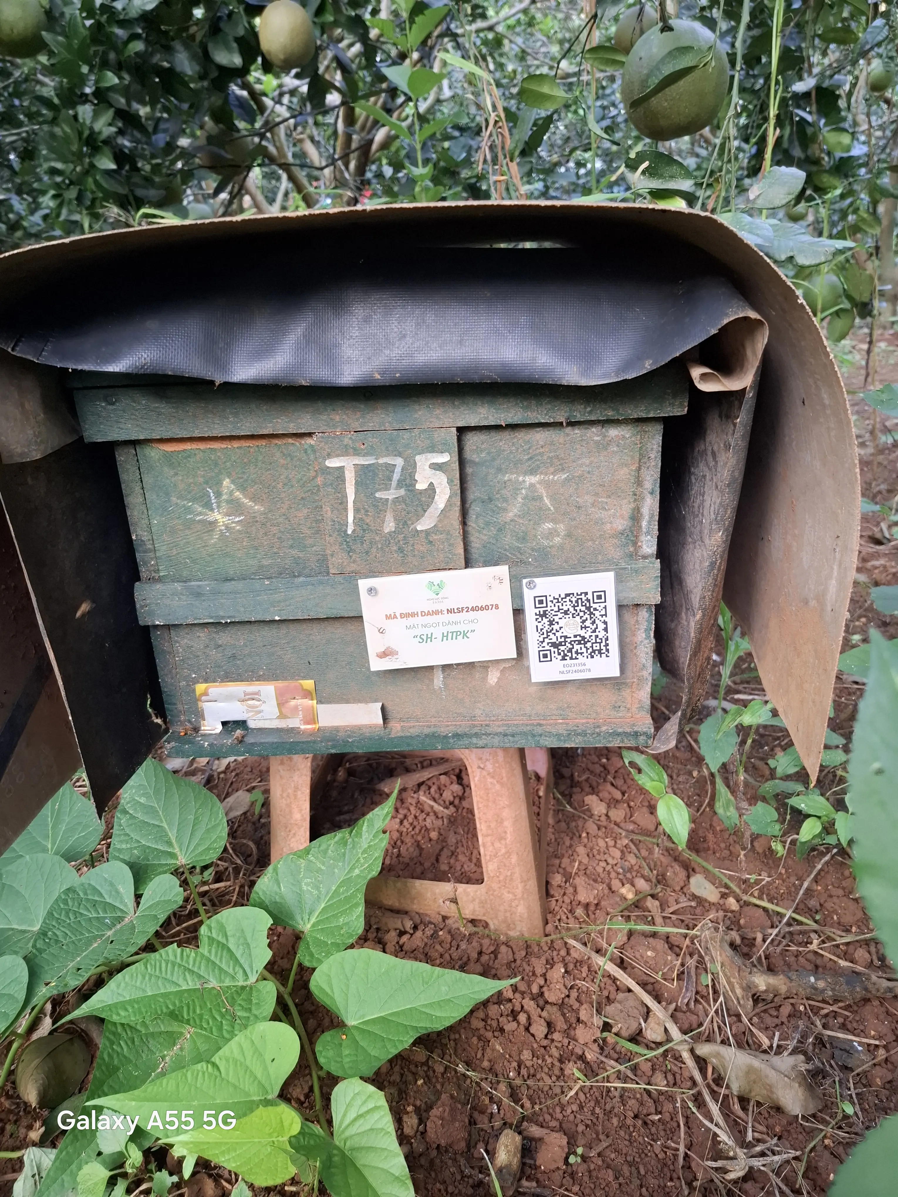 EcoNations